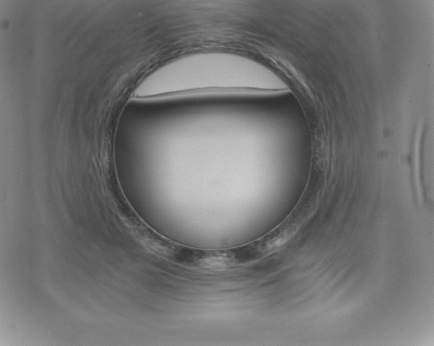 X0000075860505200609151229