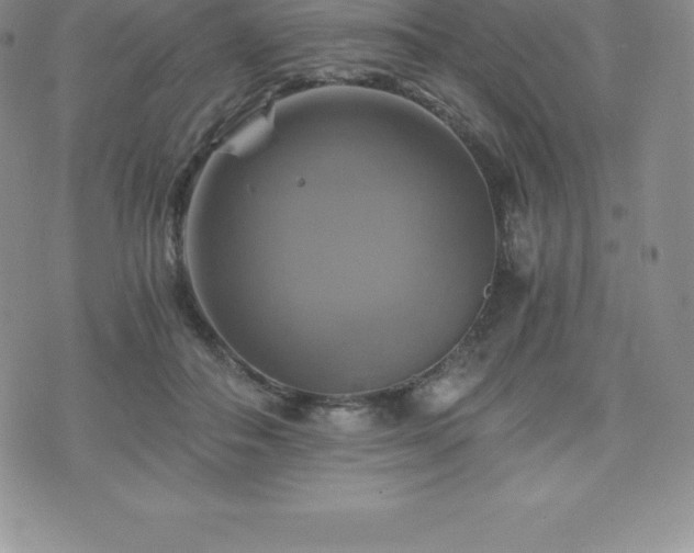 X0000075860506200609151229