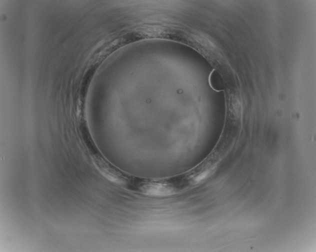 X0000075860507200609151229