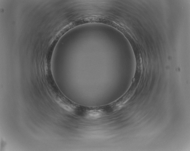 X0000075860508200609151229