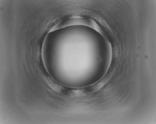 X0000075860509200609151229