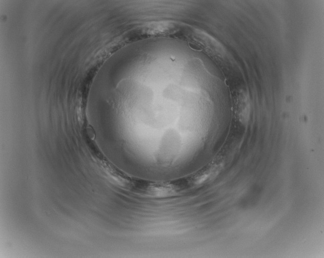 X0000075860510200609151229