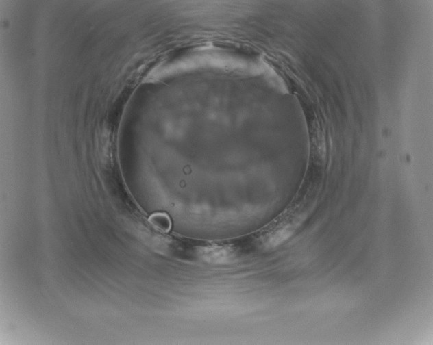 X0000075860511200609151229