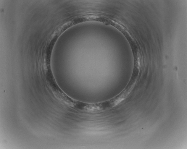 X0000075860512200609151229