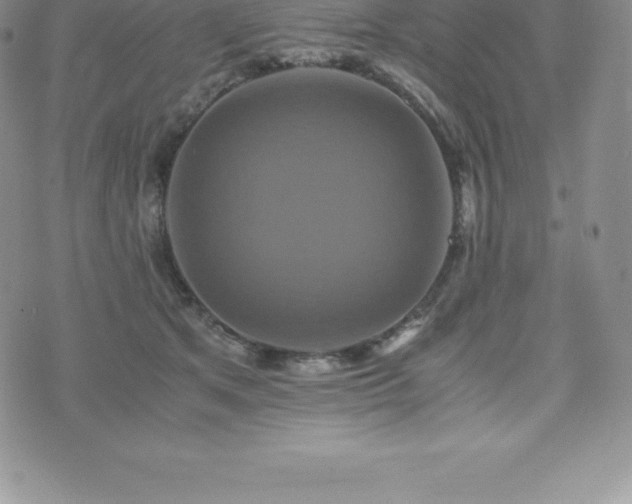 X0000075860513200609151229