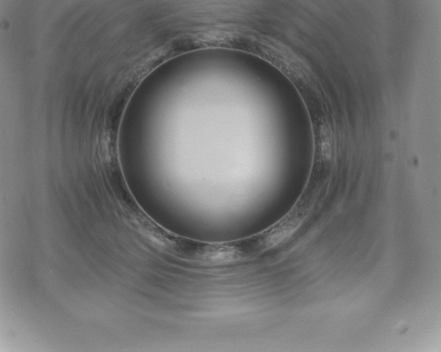 X0000075860514200609151229