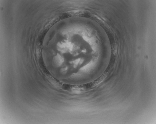 X0000075860515200609151229