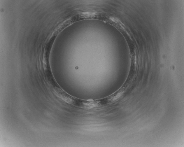 X0000075860516200609151229