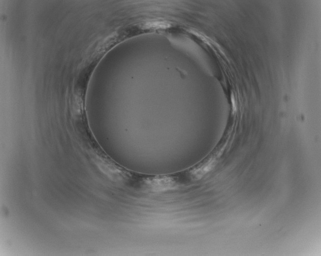 X0000075860517200609151229