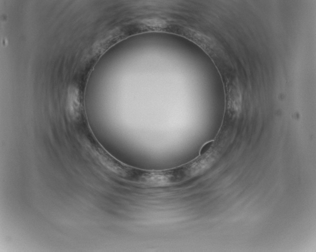 X0000075860518200609151229