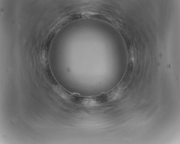 X0000075860519200609151229