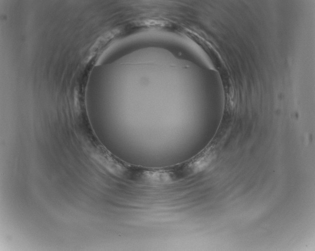 X0000075860520200609151229