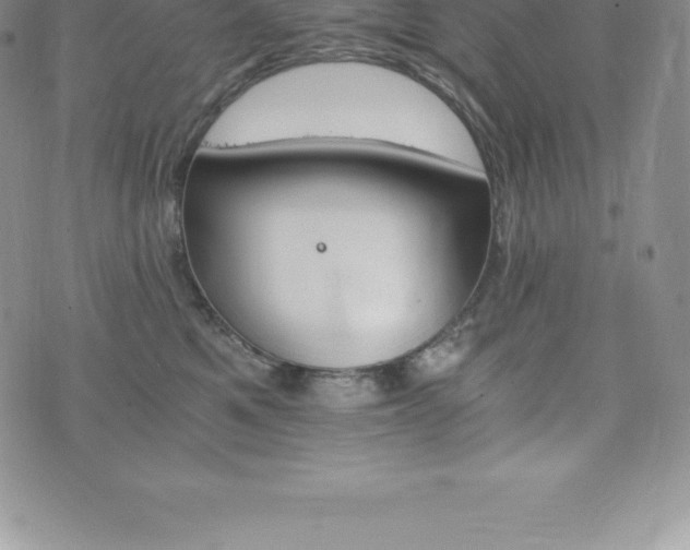 X0000075860521200609151229