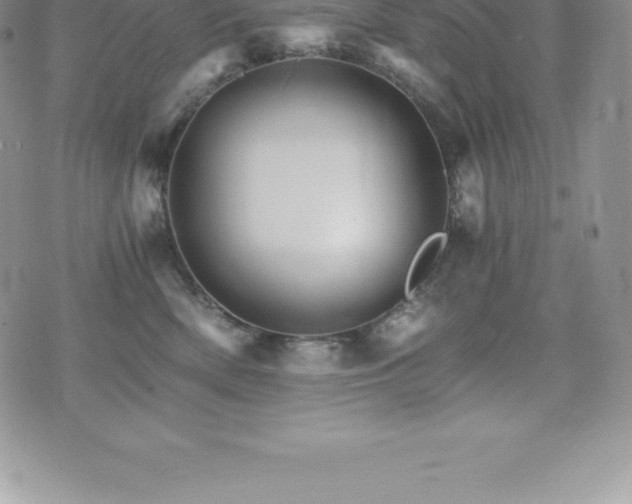 X0000075860522200609151229