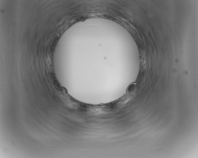 X0000075860523200609151229