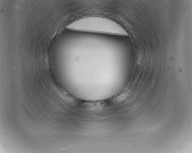 X0000075860524200609151229