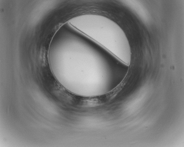 X0000075860525200609151229