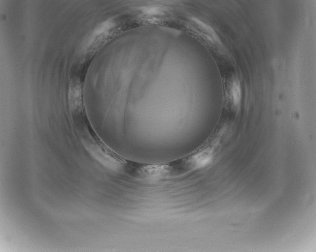 X0000075860526200609151229