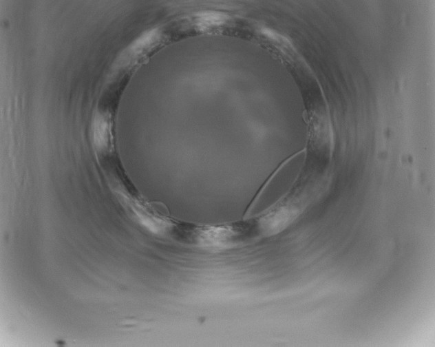 X0000075860527200609151229