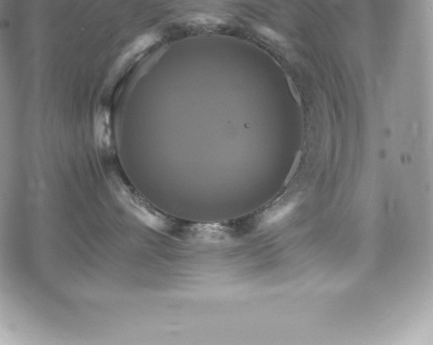 X0000075860528200609151229