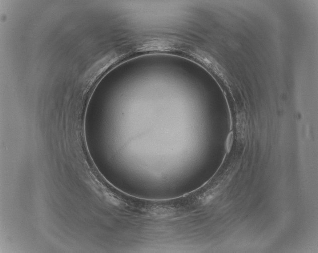 X0000075860529200609151228