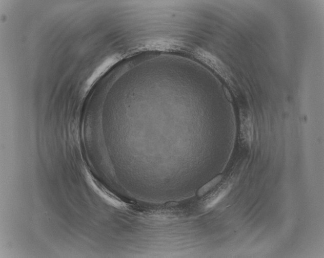 X0000075860530200609151228