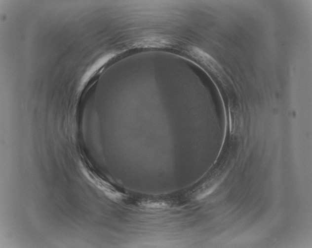 X0000075860531200609151228