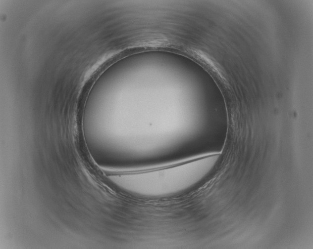 X0000075860532200609151228