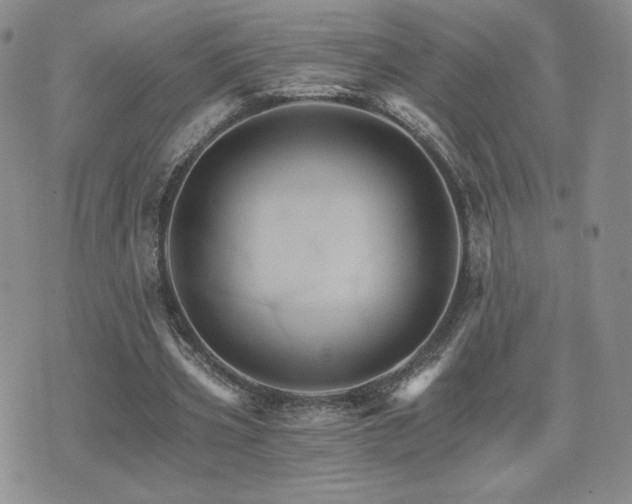 X0000075860533200609151228