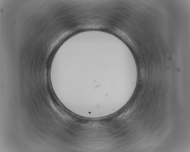 X0000075860534200609151228