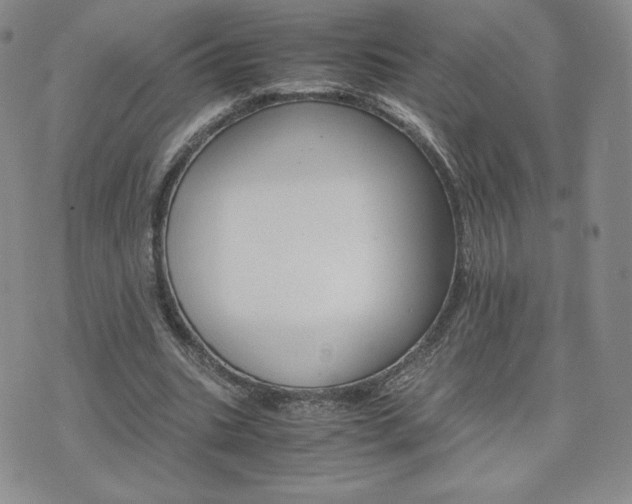 X0000075860535200609151228