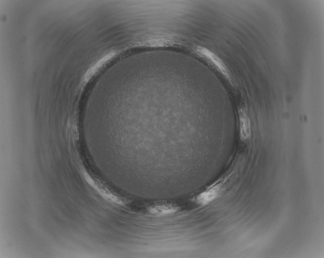 X0000075860536200609151228