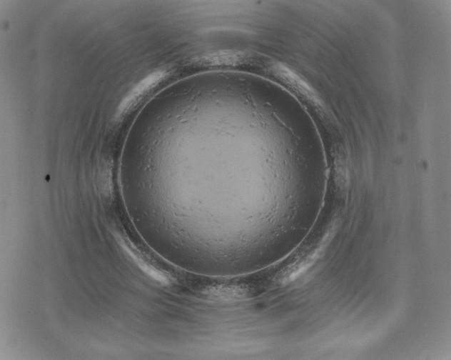 X0000075860537200609151228