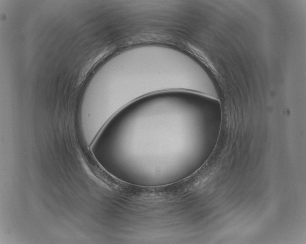 X0000075860538200609151228