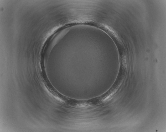 X0000075860540200609151228