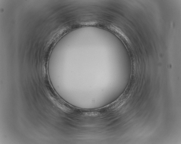 X0000075860541200609151228