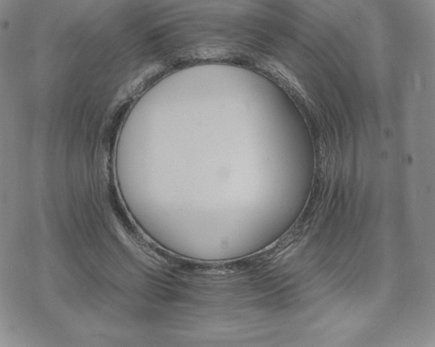 X0000075860542200609151228