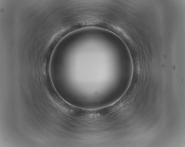 X0000075860543200609151228