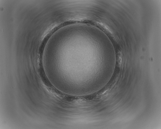 X0000075860544200609151228