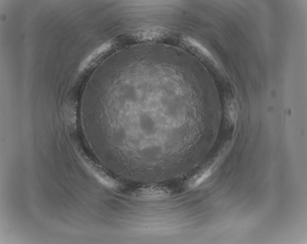 X0000075860545200609151228