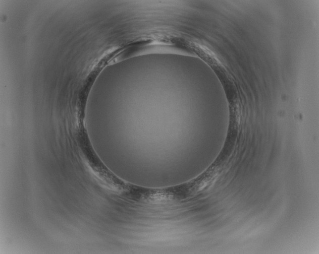 X0000075860546200609151228