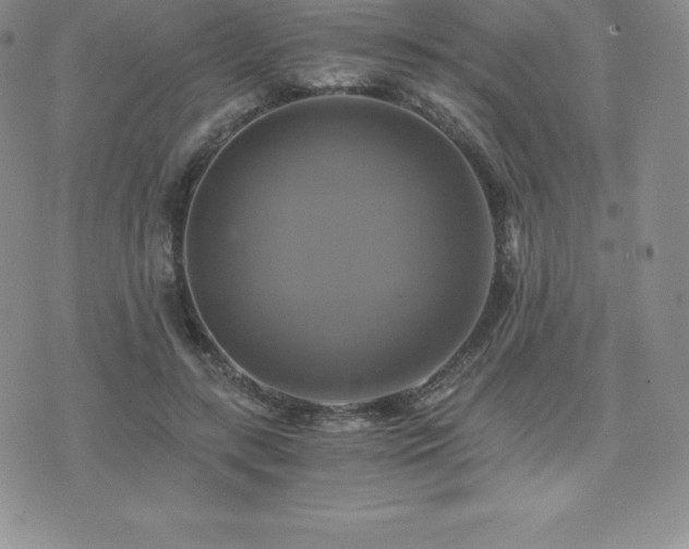 X0000075860547200609151228