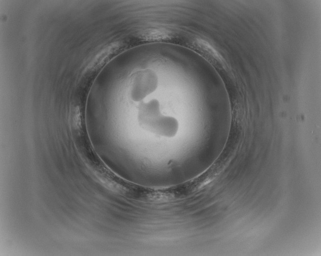 X0000075860549200609151228