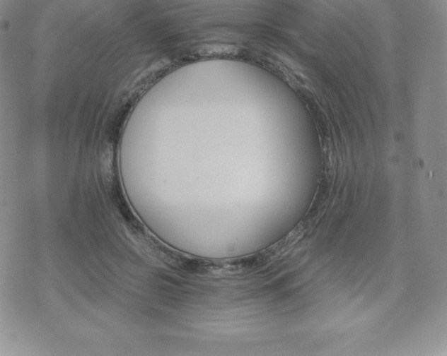 X0000075860550200609151228