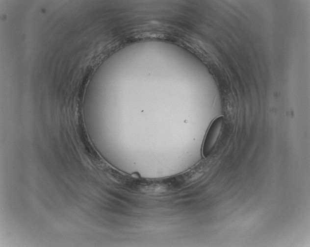 X0000075860551200609151228