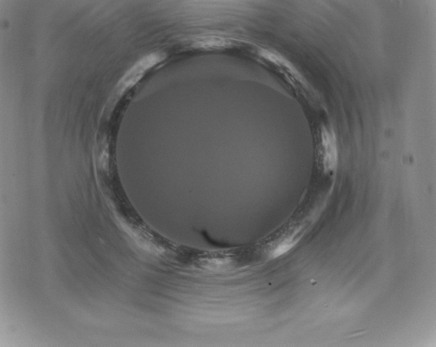 X0000075860552200609151228