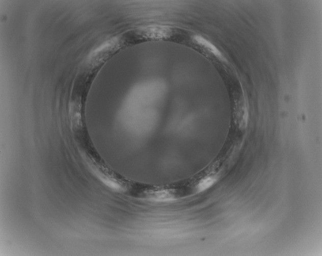 X0000075860553200609151228