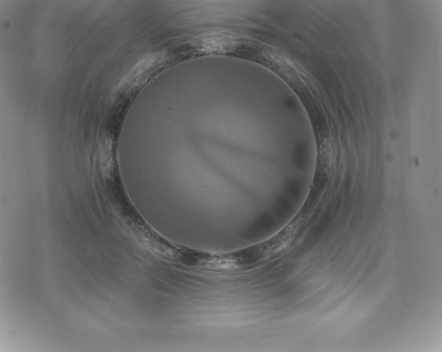 X0000075860554200609151229