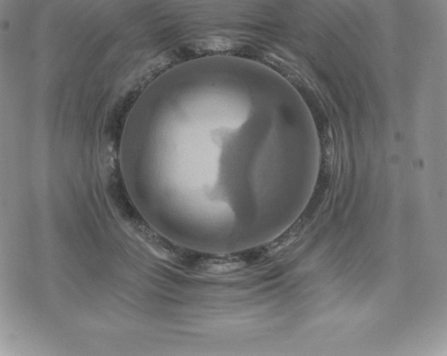 X0000075860555200609151229