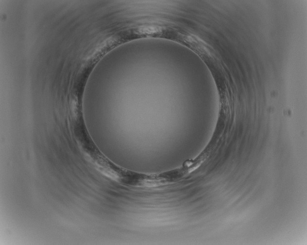 X0000075860556200609151229